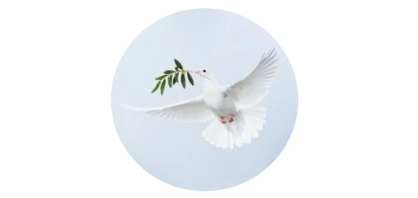 Dove With Olive Branch