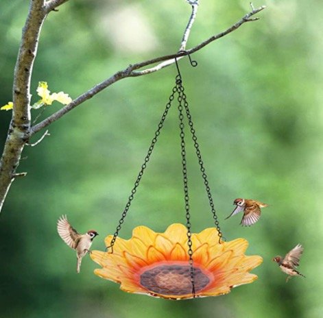 Hanging Glass Bird Bath
