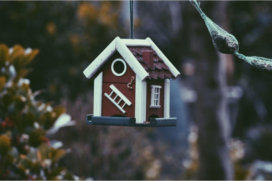 Attracting Birds with the Perfect Bird House